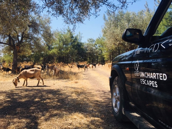 Tours in Rhodes  - Land rover Safari following the North Route with driver and lunch